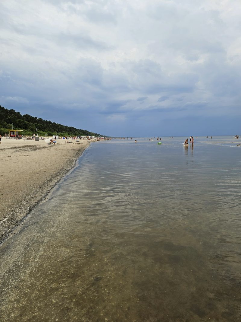 Dzidra, sekla jūra, priedēm apaugusi kāpa un glābēju tornis
